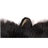 Image 9 : Montana Black Bear Taxidermy Rug Mount