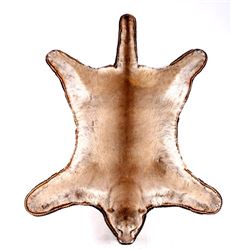 Montana Mountain Lion Taxidermy Rug Mount