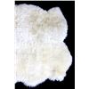 Image 3 : Genuine Lambskin Rug