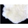 Image 4 : Genuine Lambskin Rug