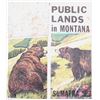 Image 3 : Montana Tourist Memorabilia