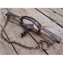 New House No. 4 Wolf Trap W/ Stamped Springs