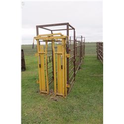 Cattle Head gate with 30 ft alley way