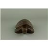 Image 2 : Chinese Huanghuali Wood Carved Turtle