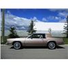 Image 2 : 1980 CADILLAC ELDORADO BIARRITZ