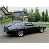 Image 11 : 1981 TRANS AM &quot;SMOKEY AND THE BANDIT&quot; EDITION Y84