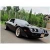 Image 12 : 1981 TRANS AM &quot;SMOKEY AND THE BANDIT&quot; EDITION Y84