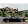 Image 13 : 1981 TRANS AM &quot;SMOKEY AND THE BANDIT&quot; EDITION Y84