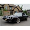 Image 1 : 1981 TRANS AM &quot;SMOKEY AND THE BANDIT&quot; EDITION Y84