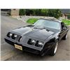 Image 6 : 1981 TRANS AM &quot;SMOKEY AND THE BANDIT&quot; EDITION Y84