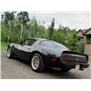 Image 7 : 1981 TRANS AM &quot;SMOKEY AND THE BANDIT&quot; EDITION Y84