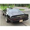 Image 9 : 1981 TRANS AM &quot;SMOKEY AND THE BANDIT&quot; EDITION Y84