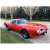 Image 1 : 3:30 PM SATURDAY FEATURE! 1975 PONTIAC TRANS AM