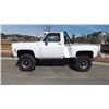 Image 1 : 1979 CHEVROLET SILVERADO STEPSIDE 4X4 PICK-UP