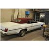 Image 3 : 1975 OLDSMOBILE DELTA 88 CONVERTIBLE