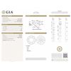 Image 2 : GIA/RN/F/SI2/1.01Ct
