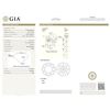 Image 2 : GIA/RN/FANCY-CLR/VVS2/0.7Ct