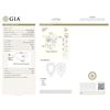 Image 2 : GIA/PS/FANCY-CLR/VS2/1.01Ct