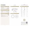 Image 2 : GIA/RN/D/IF/1.71Ct