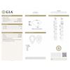 Image 2 : GIA/PS/G/SI2/1.02Ct