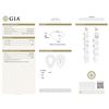 Image 2 : GIA/PS/F/VVS1/1.01Ct