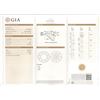Image 2 : GIA/RN/F/VVS1/1.39Ct