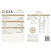 Image 2 : GIA/RN/D/IF/0.28Ct