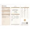 Image 2 : GIA/RN/F/VS1/1.11Ct