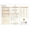 Image 2 : GIA/RN/I/VS1/1.02Ct