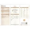 Image 2 : GIA/RN/F/VVS2/2.09Ct