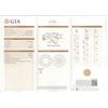 Image 2 : GIA/RN/E/VVS2/1.07Ct