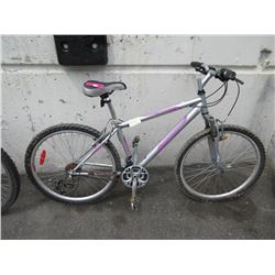 21 Speed Infinity mountain bike - used