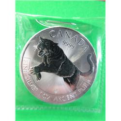 1 Troy Oz. 2016 Canada .9999 Silver Coin