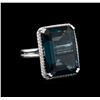 Image 1 : 28.82ct Blue Topaz and Diamond Ring - 14KT White Gold