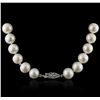 Image 1 : 14KT White Gold Pearl Necklace