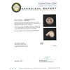 Image 4 : 14KT Yellow Gold 0.30ctw Diamond Coin Ring