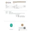 Image 6 : GIA Cert 13.76ct Emerald and Diamond Ring - 14KT White Gold