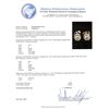 Image 3 : 1.50ctw Diamond Solitaire Earrings - 14KT White Gold