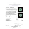 Image 5 : GIA Cert 14.44ct Emerald and Diamond Ring - 14KT Yellow Gold