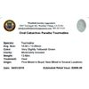 Image 2 : 13.68ctw Cabochon Paraiba Tourmaline Parcel