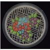 Image 2 : RCM 20$ - Staineed Glass: Craigdarroch Castle - 2014