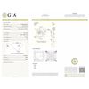 Image 1 : GIA/PR/1.06Ct