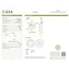 Image 1 : GIA/B/0.46Ct