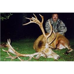 Scotland - 7 Day Hill Red Stag Hunt for 1 Hunter