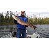 Image 3 : Northwest Ontario - 7 Nights/6 Days for upto 6 Anglers