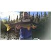 Image 4 : Northwest Ontario - 7 Nights/6 Days for upto 6 Anglers