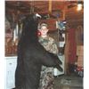 Image 2 : Ontario - 5 Day Fall Black Bear Hunt for 1 Hunter