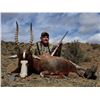 Image 1 : South Africa - 5 Day hunt for up to 4 hunters with $1500 in Trophy Fees for each hunter