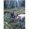 Image 1 : Montana - 6 Day Montana Rifle Elk Hunt for 1 Hunter