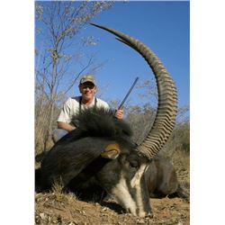 South Africa - 7 Day Hunt for 2 Hunters including trophy fee for Sable + $1000 Credit